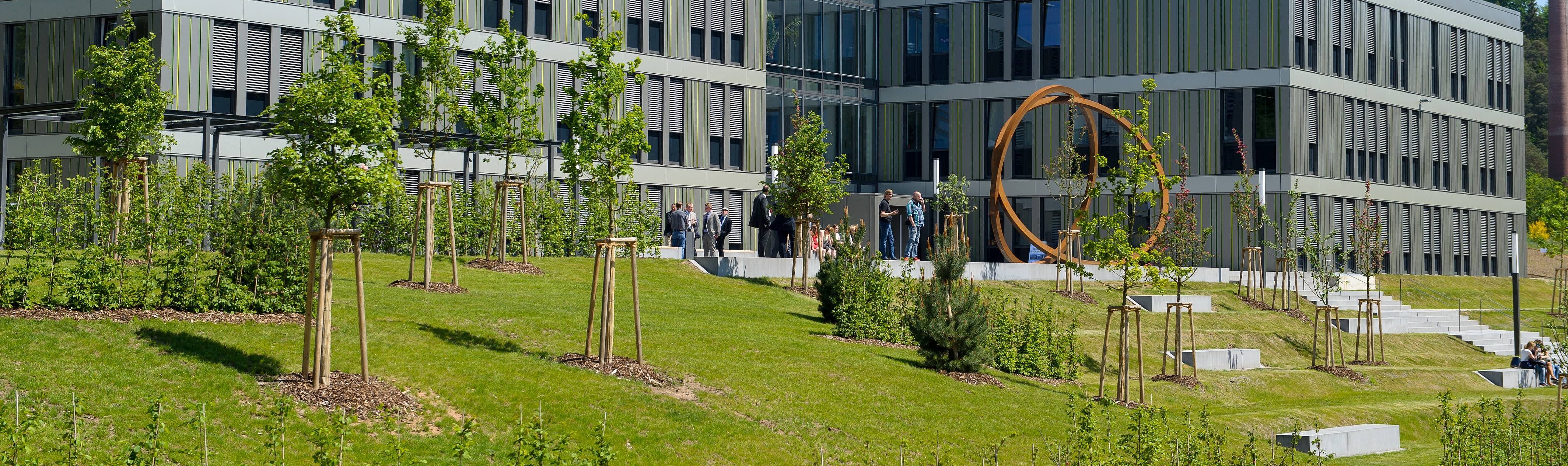 Ein Universitätsgebäude mit einer grünen Rasenfläche und neu gepflanzten Bäumen