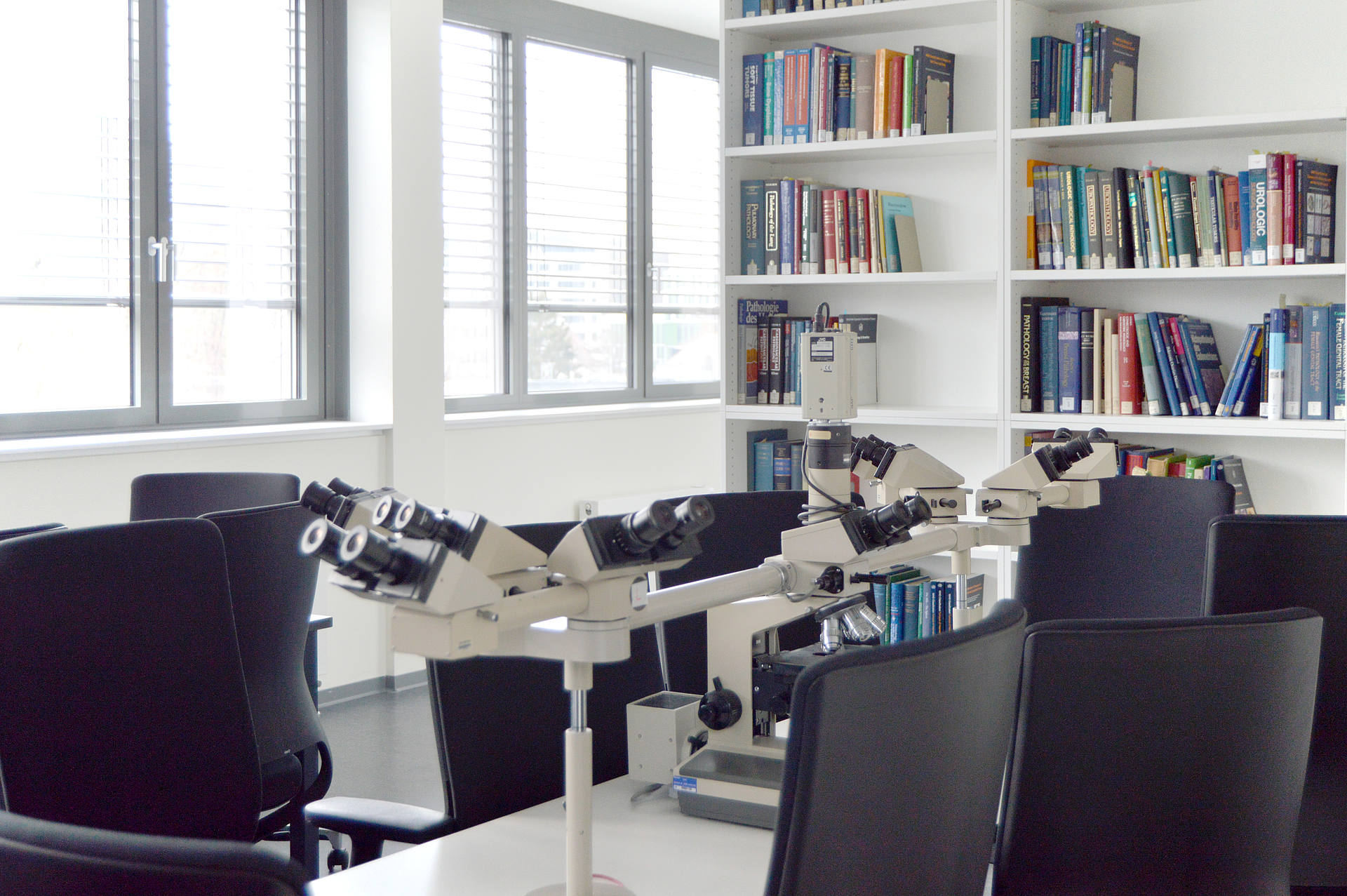 Bibliothek Institut für Pathologie Campus Homburg