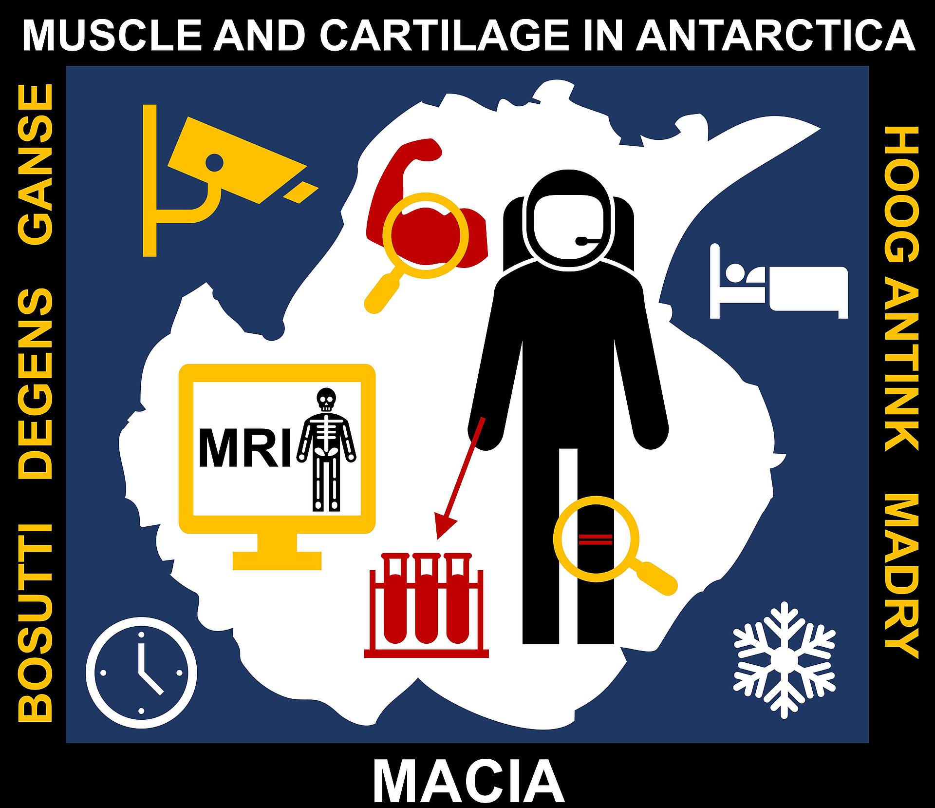 Missions-Patch des Antarktis-Experiments MACIA