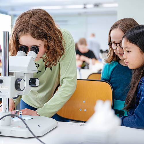 Eine Gruppe von Kindern steht um ein Mikroskop, eines der Kinder schaut hinein.