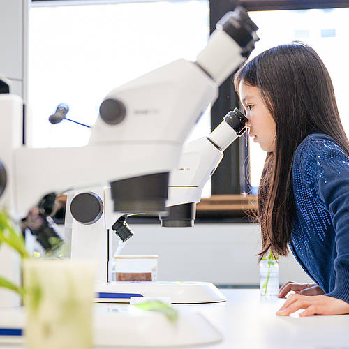 Ein Mädchen blickt neugierig in ein Mikroskop.