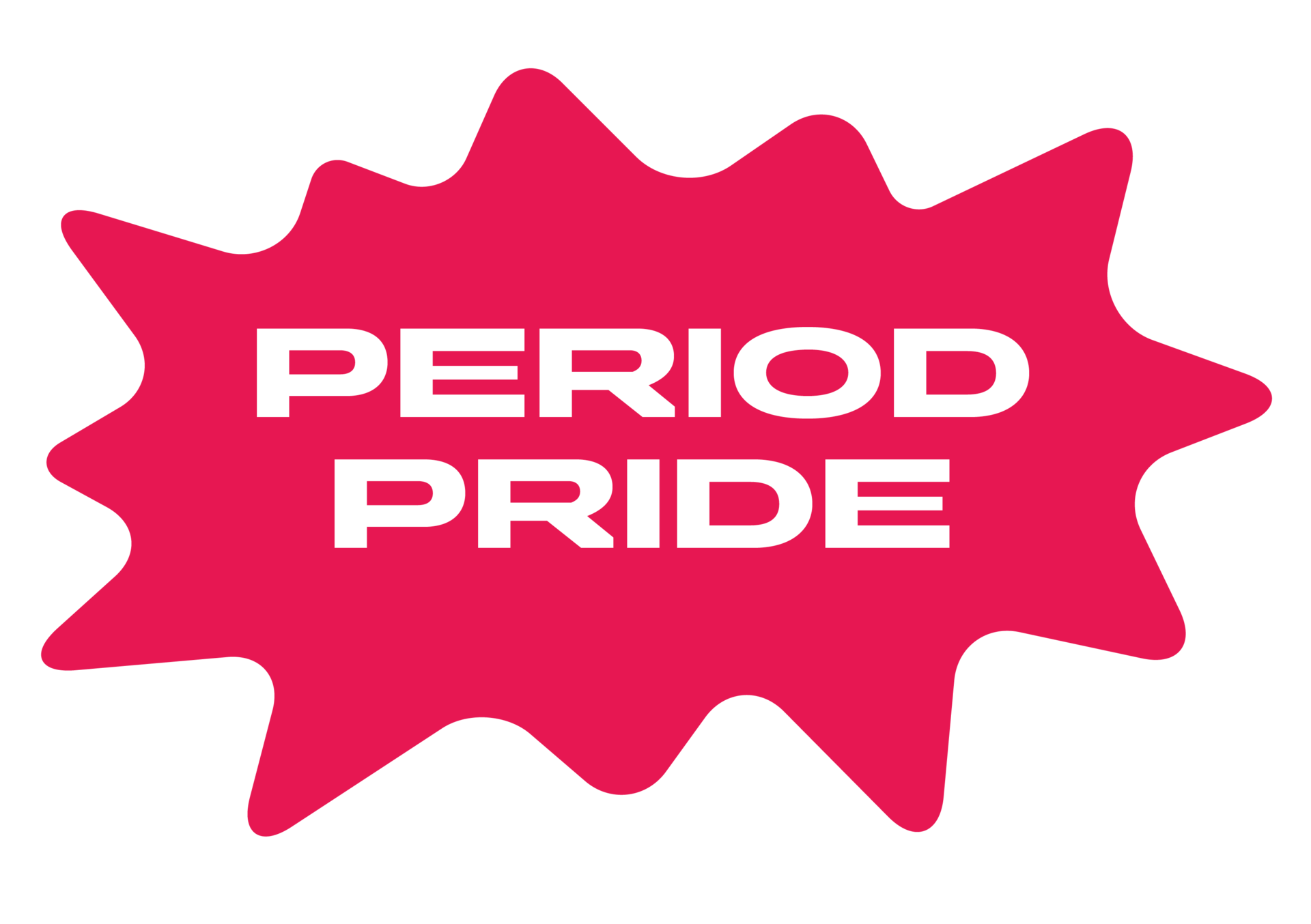 Pinker Klecks mit dem Spruch Period Pride darauf.