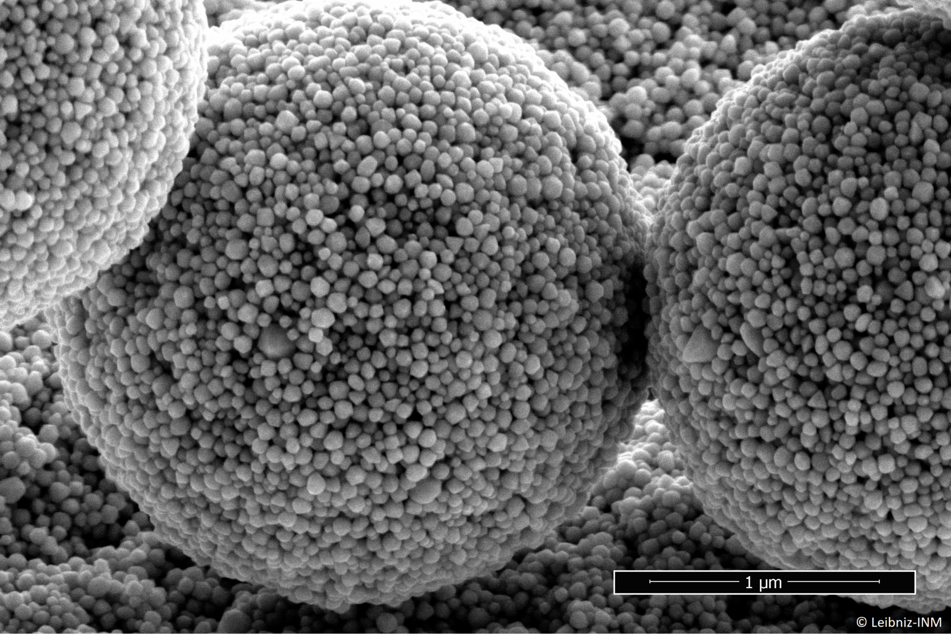 REM-Bild eines Agglomerats von Nanopartikeln