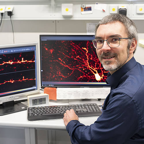 Marcel Lauterbach sitzt vor zwei Bildschirmen, auf denen in Rot dendritische Dornen auf Dendriten in einer einzelnen Hirnnervenzelle zu sehen sind. 