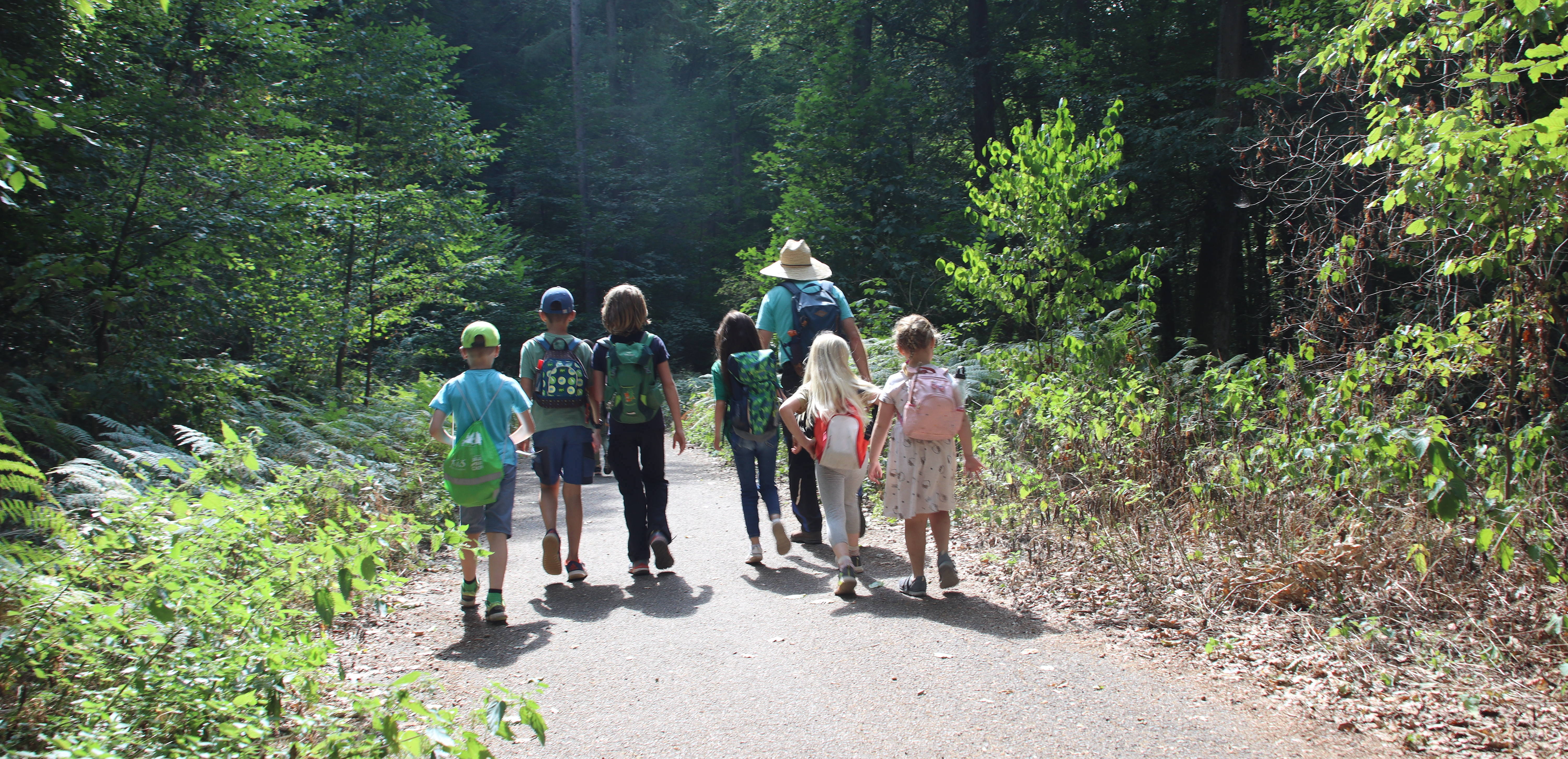 Impressionen FUNKT 2022: eine Gruppe Kinder spaziert auf einem Waldweg