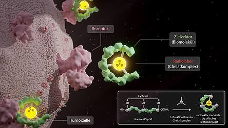 Schematische Darstellung eines ringförmigen Moleküls, das an eine Tumorzelle andockt