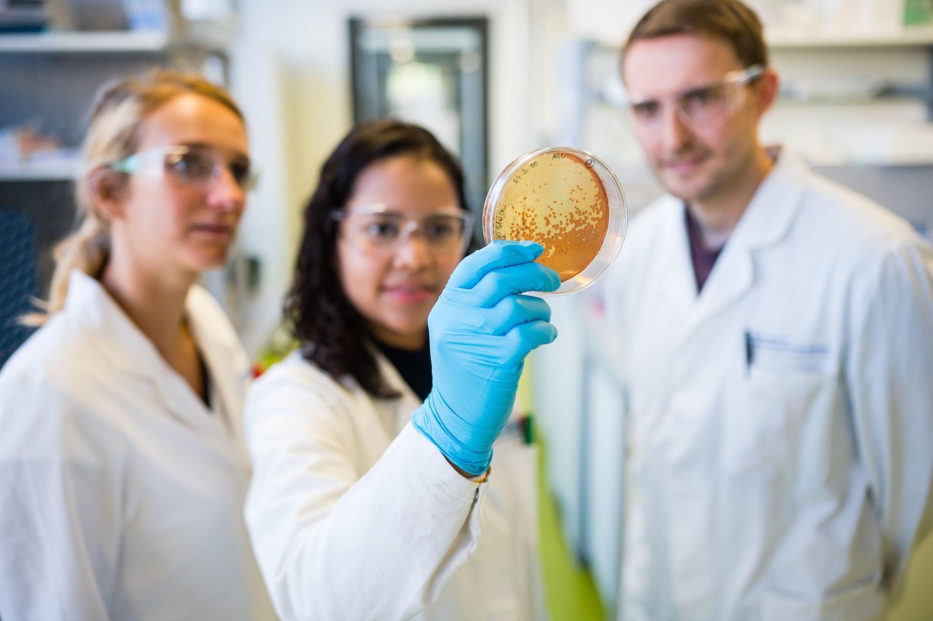 Zwei Wissenschaftlerinnen und ein Wissenschaftler stehen in einem Labor.