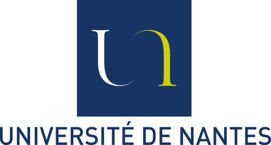 Logo Université de Nantes