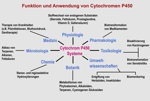 Proviron: Der Samurai-Weg