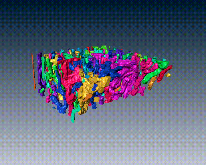 Rotierendes dreidimensionale Modell zeigt korallenartige Mikrostruktur.