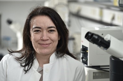 Portraitfoto von Prof. Dr. Gabriela Krasteva-Christ