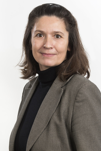 Photo of Prof. Kray