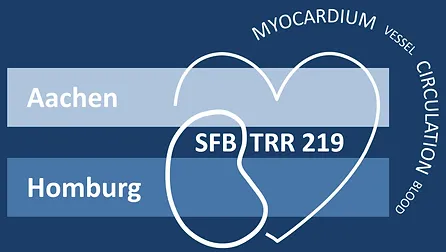 Logo des SFB/TRR 219