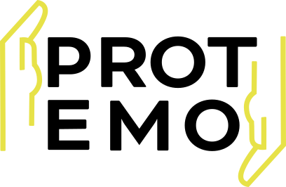 Logo PROTEMO