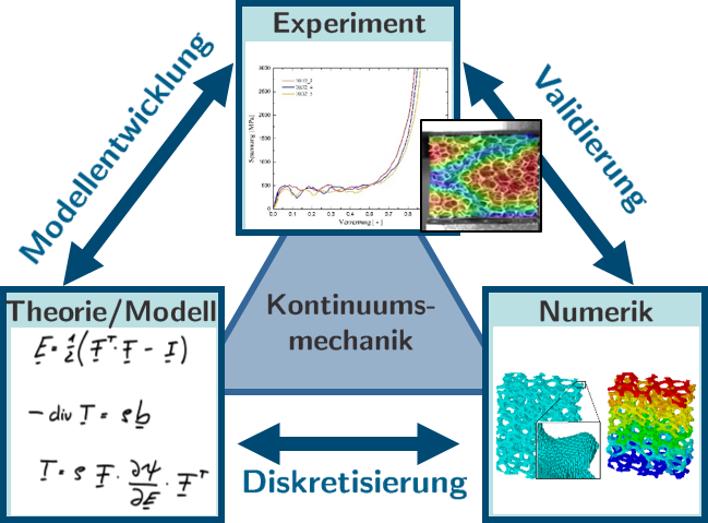 Kontinuumsmechanik: Experiment, Modellbildung und Numerik