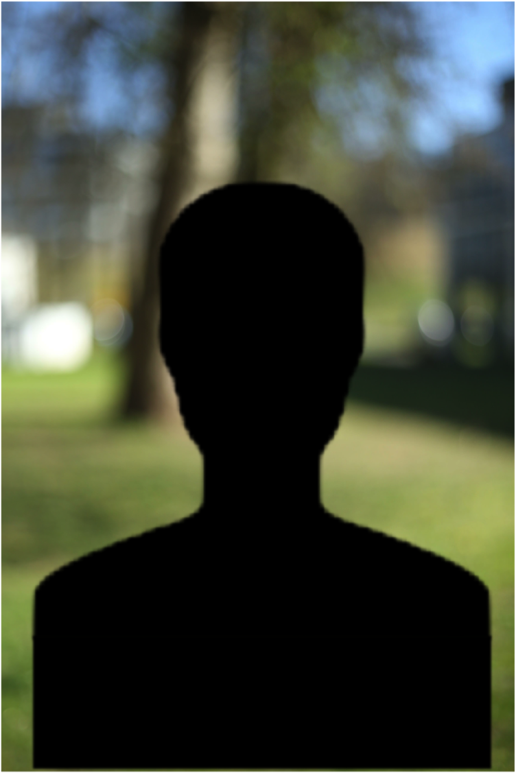 Leeres Protrait, Platzhalter