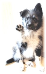 Yuki