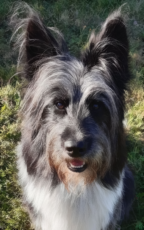 Yuki