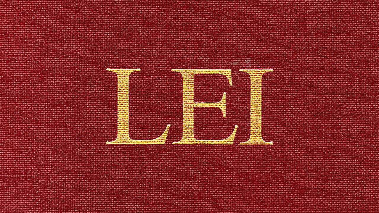Logo LEI