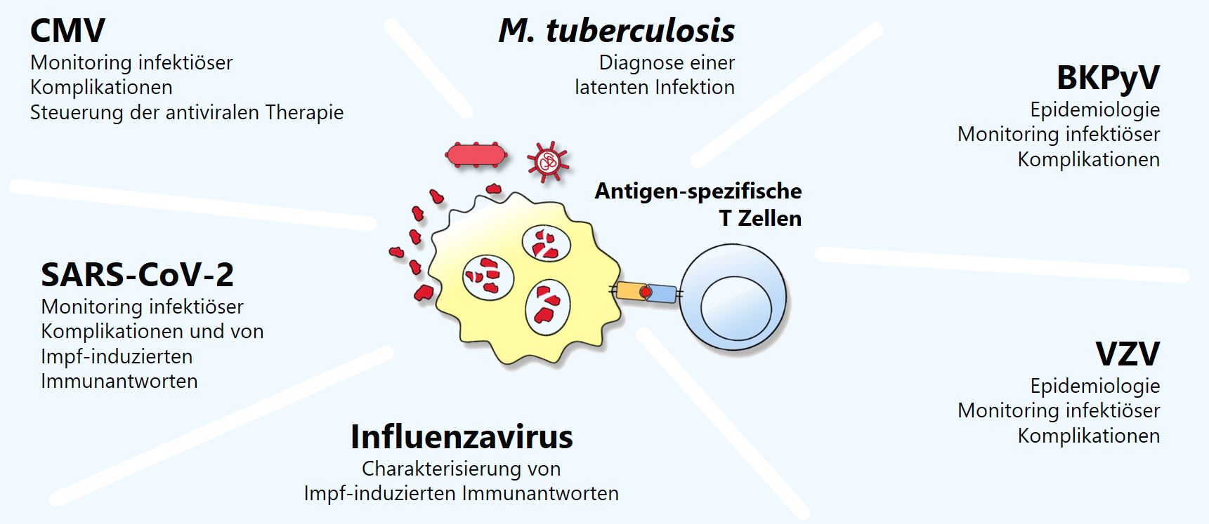 Schematische Abbildung des Einsatzes der IGRA bei klinisch relevanten Erregern