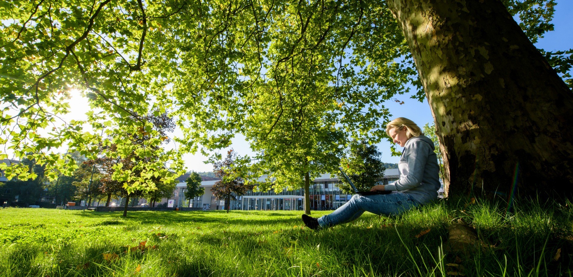 Studentin sitzt mit Laptop unter einem Baum