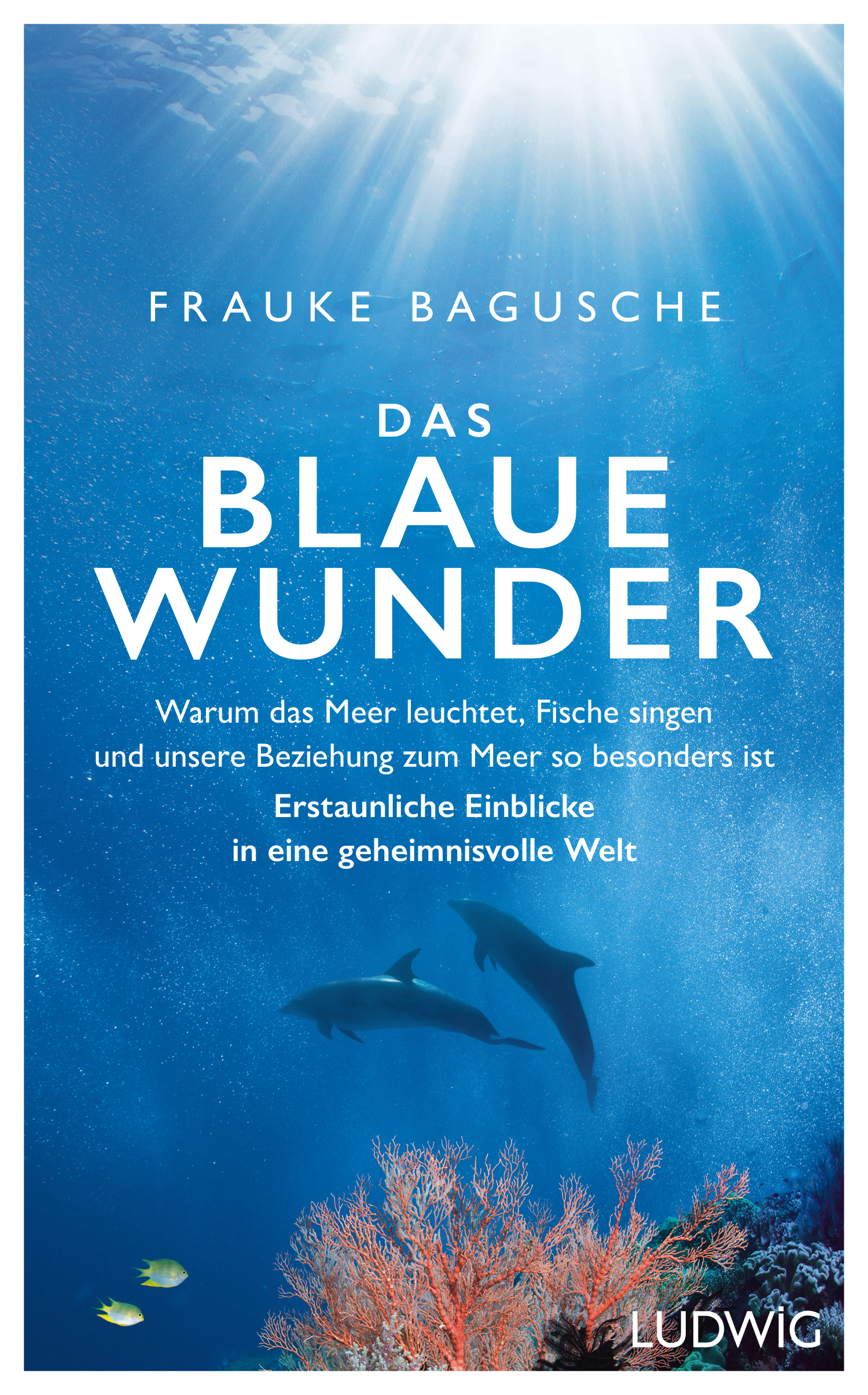 Cover des Buchs Das blaue Wunder