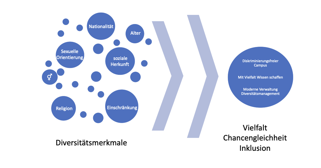 Auf der linken Seite mehrere blaue Blasen. Einige größere Blasen sind mit den Begriffen Nationalität, Alter, Sexuelle Orientierung, soziale Herkunft, Religion, Einschränkung beschriftet, unter den Blasen Steht das Wort Diversitätsmerkmale. Von Den Blasen führen zwei Pfeile nach rechts, zu einer großen Blase, in der steht: Diskriminierungsfreier Campus. Mit Vielfalt Wissen schaffen. Moderne Verwaltung Diversitätsmanagement. Die Blase ist untertitelt mit Vielfalt, Chancengleichheit, Inklusion