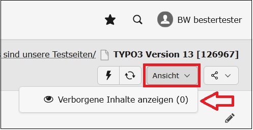 Screenshot aus dem Backend von Typo3 Version 13