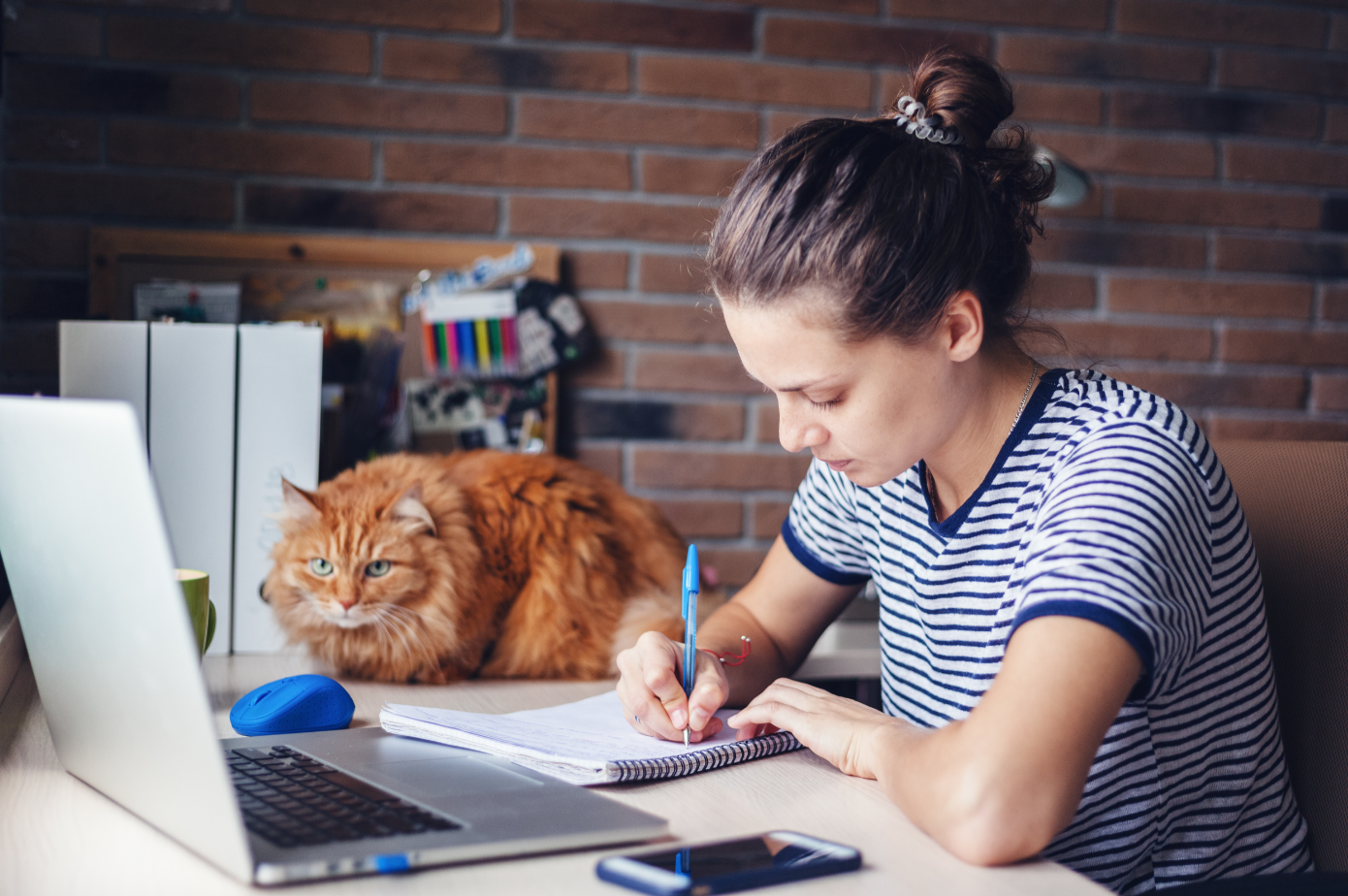 Studentin arbeitet am Laptop. Ihre Katze sitzt auf dem Tisch neben dem Laptop.